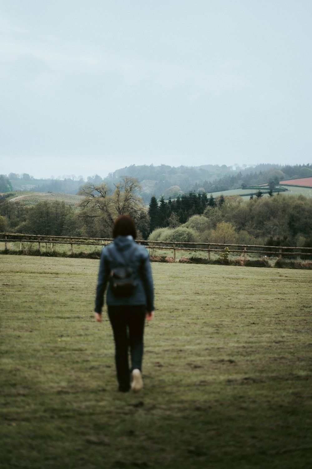 Countryside Walks